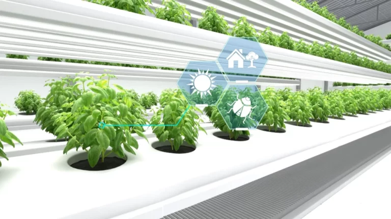 Smart Irrigation Systems